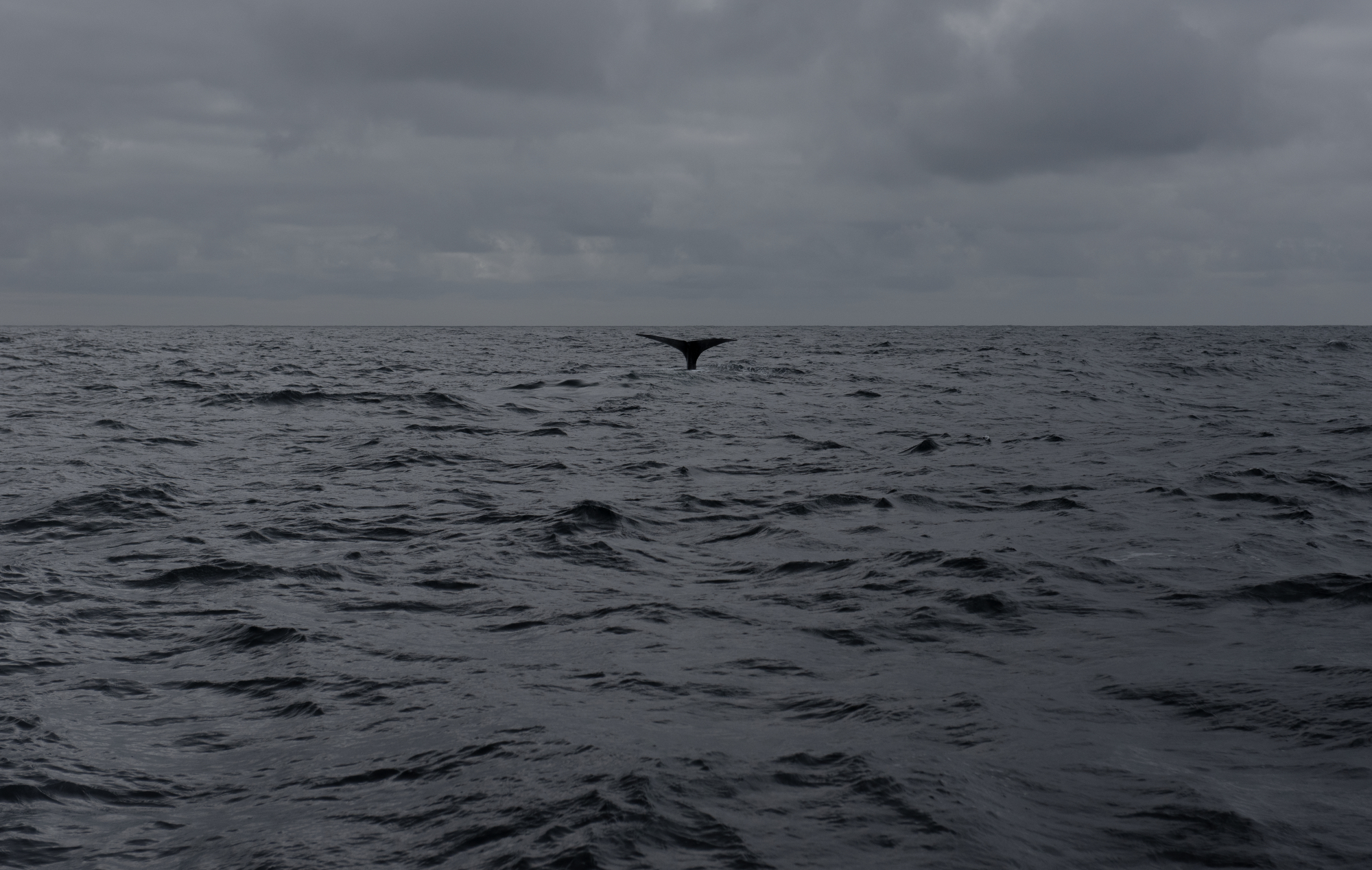 Arctic Soundscapes: UNDERCURRENTS