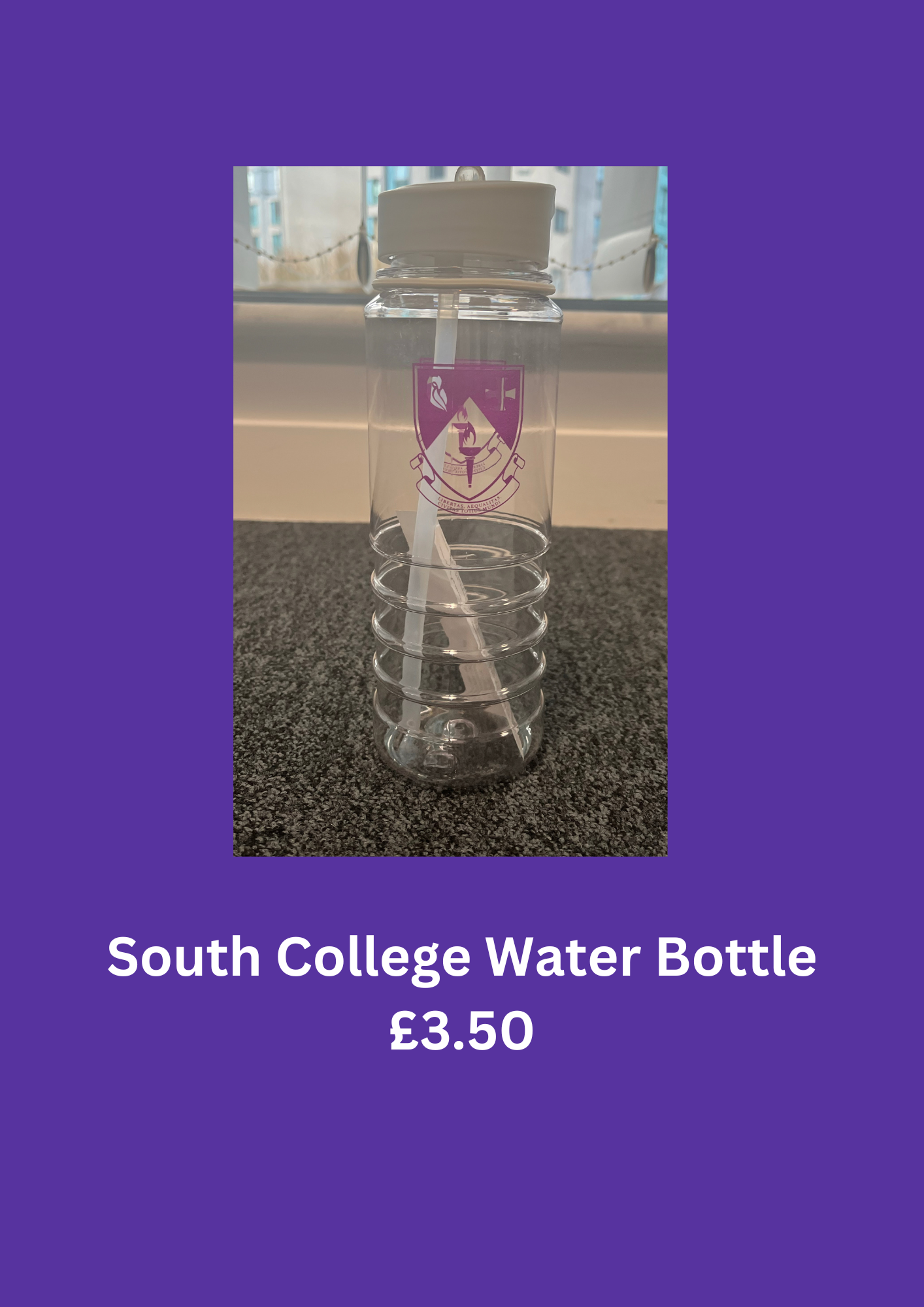 South College Water Bottle