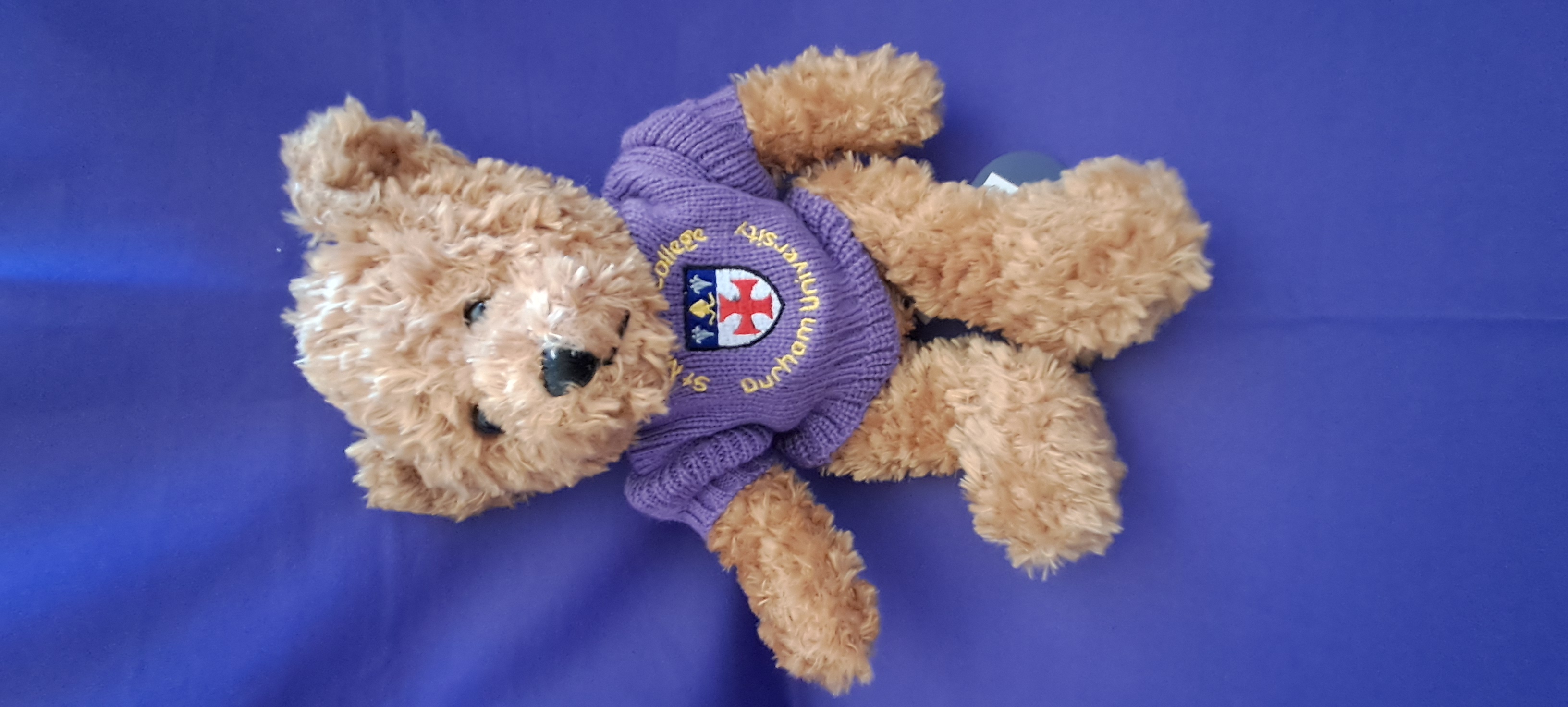 St Mary's College Teddy Bear