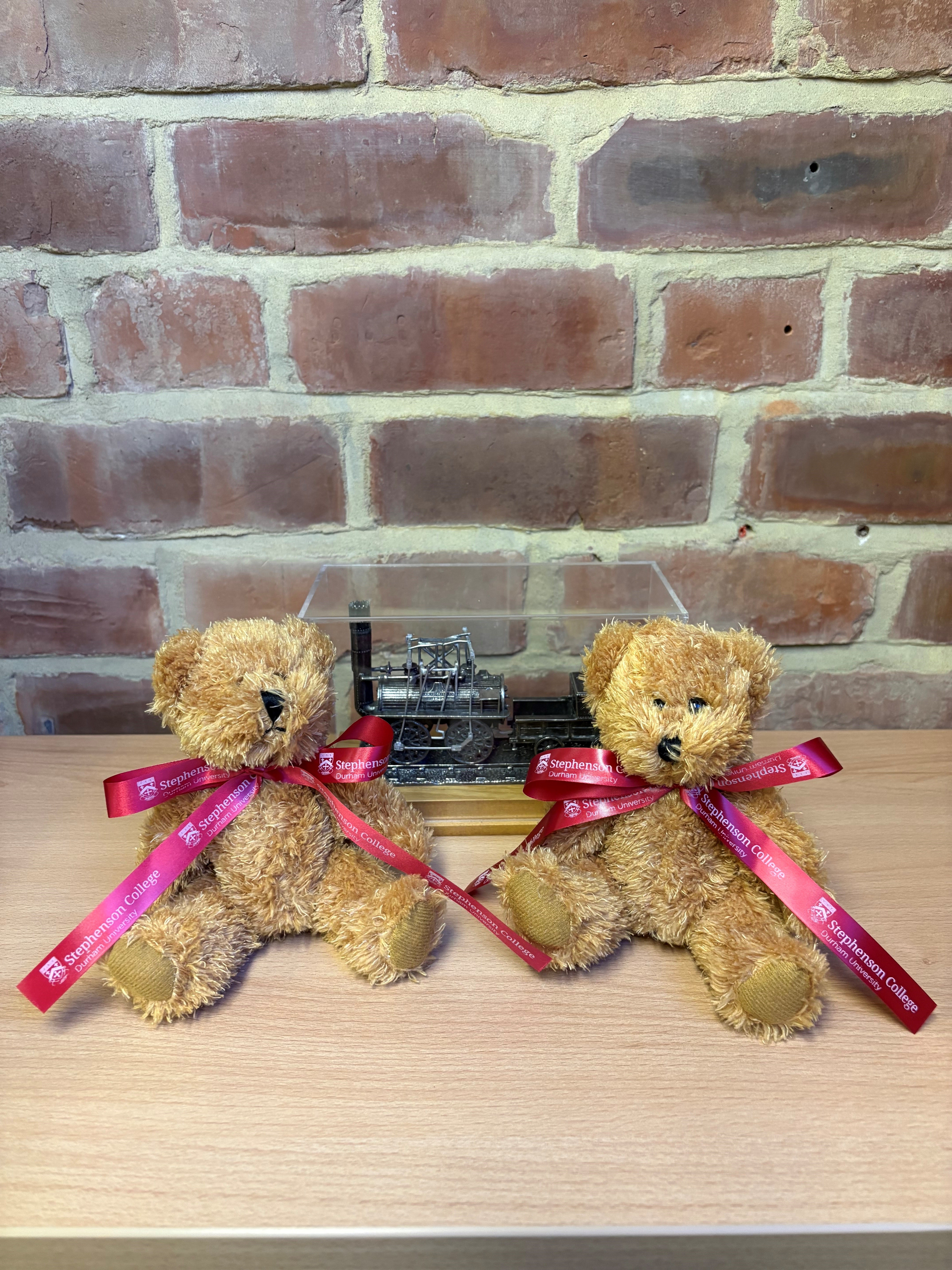 Stephenson College Teddy Bear