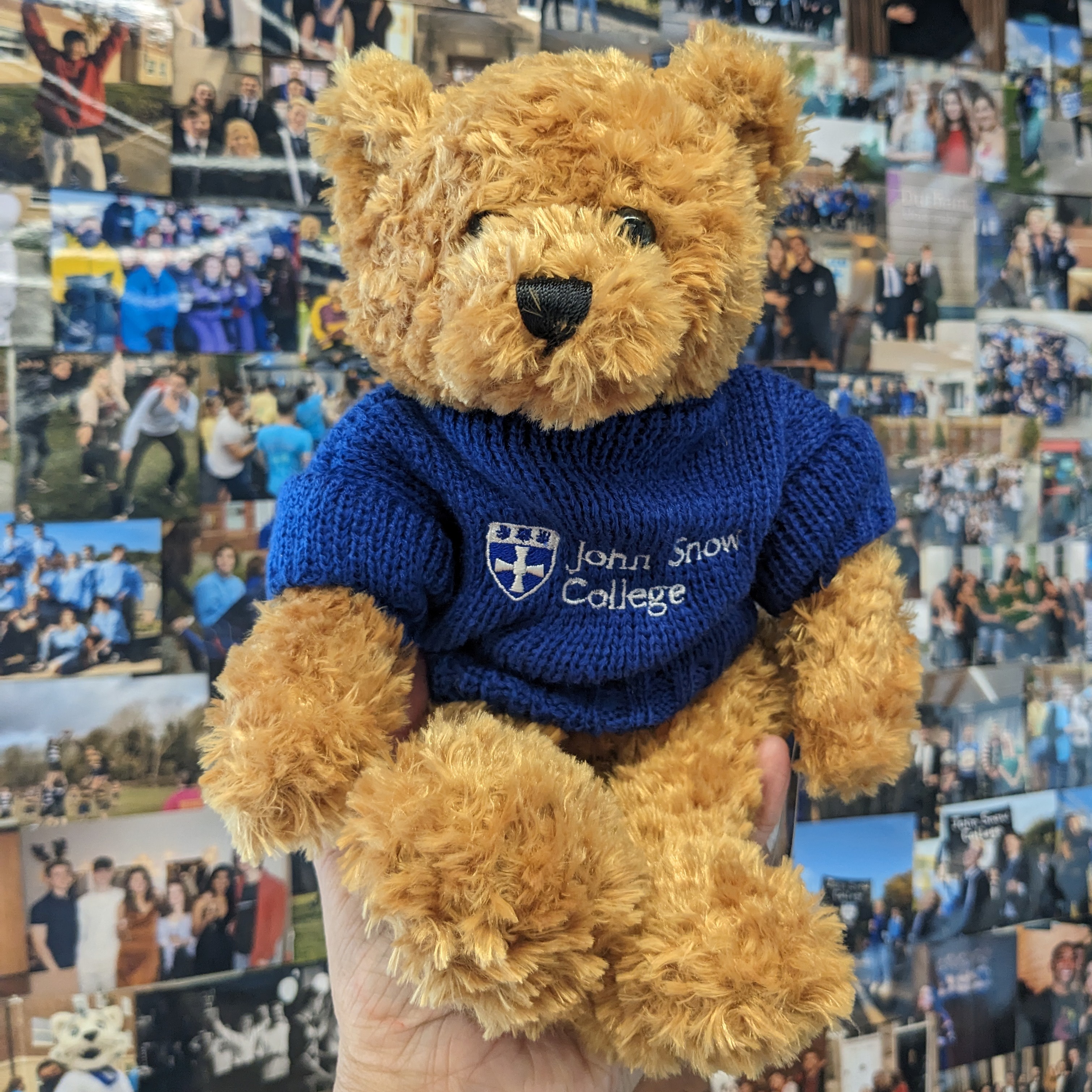 John Snow College Teddy Bear