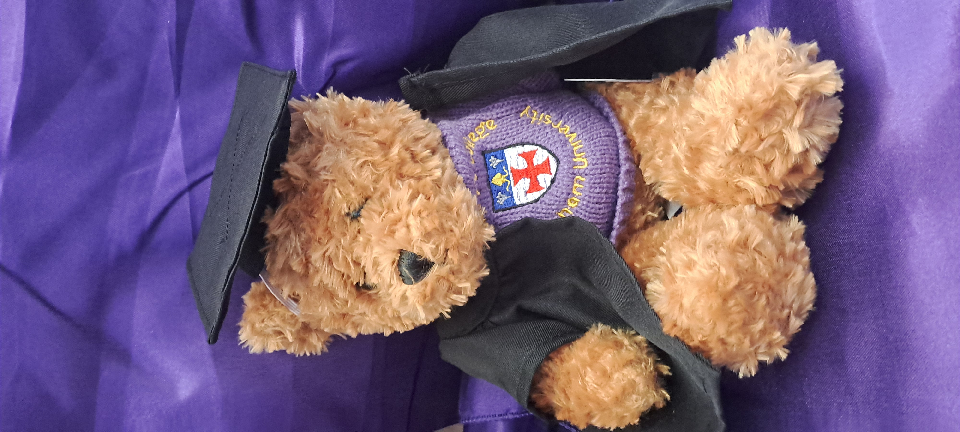 St Mary's Graduation Gowned Teddy